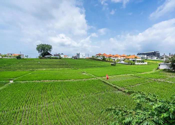 The R Patuha Canggu (Bali)